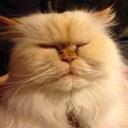 Laura Lemanski - @happy4m3 - Twitter