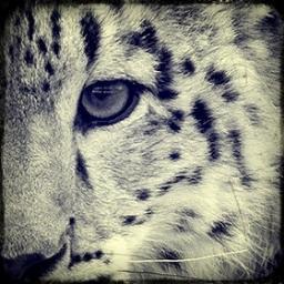 rieslin's profile picture. CPO @ ZeusInsights