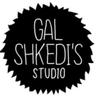 galshkedi's profile picture. Director - illustrator
