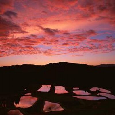 各県BOT　新潟・長野
