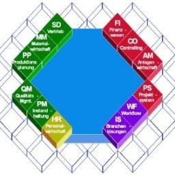 SAP Security & Quality (Secure SAP Configuration, Secure ABAP)