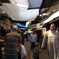 Pietro V. Barbieri (@pietrovbarbieri) 's Twitter Profile