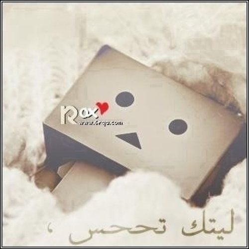 ‏‏سبحاّن من جمع القّلوب وفطرها عّلى الحب وخلقّ الأرواح لتأنّس أرواحا أخّرى هنيئا لي ّبروحك وهنيّئا لروحكّ بك