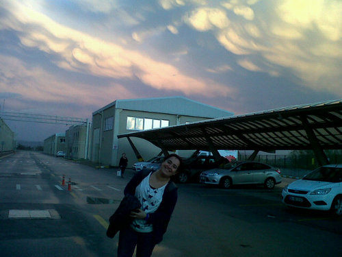 M_HaticeGokcan's profile picture. 