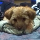 Mayra Vallejo - @mayravallejo99 - Twitter