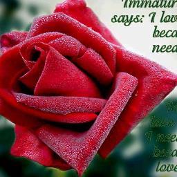 I am lovely boy.
