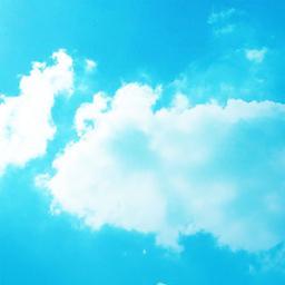 The Wind of Words --- 言葉・詩・短歌・川柳・俳句・歌詞・格言・名言をこよなく愛します (I love words, poems and lyrics deeply)。ラテン語の格言や有名人の名言を紹介します。レクリエーション数学・科学に興味のある人は@puzlorg氏もごひいきに。