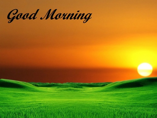 mohitsingh0433's profile picture. hellow i am thakur mohit singh