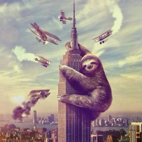 BraydenHales's profile picture. 