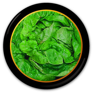 We post about kitchens and bathrooms. http://t.co/yWIxYOBfXG the real eZINE for kitchen and bathroom people.