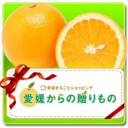 noukatyokusou's profile picture. ネットショップ出来ました☆
【愛媛からの贈りもの】
私たちが厳選した、愛媛のいいものをお届けしています☆
新商品続々追加していきます！

スタッフブログも更新中♪
日々の出来事や愛媛の旬な情報もお届けしています！