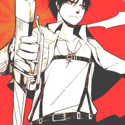 SlayerOfTitans's profile picture. My name is Eren Jaeger, a Scouting Leigon member and a boy from the Shiganshina District inside of the now destroyed Wall Maria. I will kill every Titan. #AOTRP