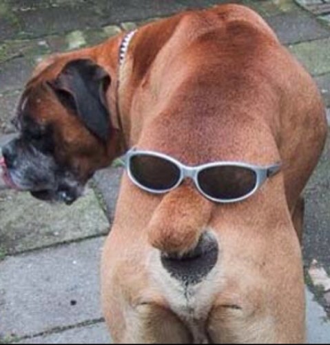 Follow us for funny quotes and crazy facts! 

You follow us, we follow you back; you unfollow us then we unfollow you back! Easy as peas.

#teamfollowback
