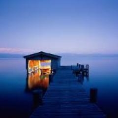 SaraBr0oks's profile picture. How bright and transparent the moonlight of wisdom.- Hakuin