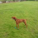 David Howitt - @Davidihowitt - Twitter