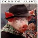 dede le cochondingue - @ATR_dede - Twitter