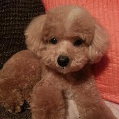 山本真也