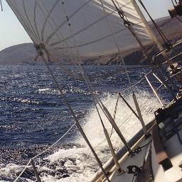 Msev5's profile picture. 