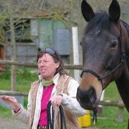 Lifelong horsewoman & Parelli Natural Horsemanship instructor, Founder Horseology.  Management & Leadership professional.