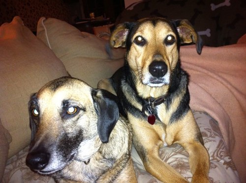 sheria56's profile picture. 