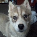 jay bacon - @ijaytoner90 - Twitter