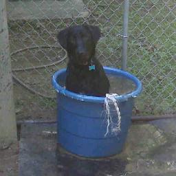 adamhyde2's profile picture. Husband, Father, Professional Sales Person, Lawyer, Football Nut, Professional Smart Alec