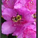 Paula Augustine - @AugustinePaula - Twitter