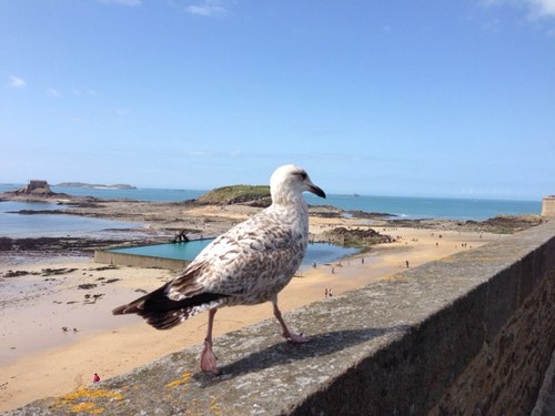 JeroLOI's profile picture. 