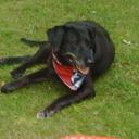 Kathy Sopher - @havtowin - Twitter