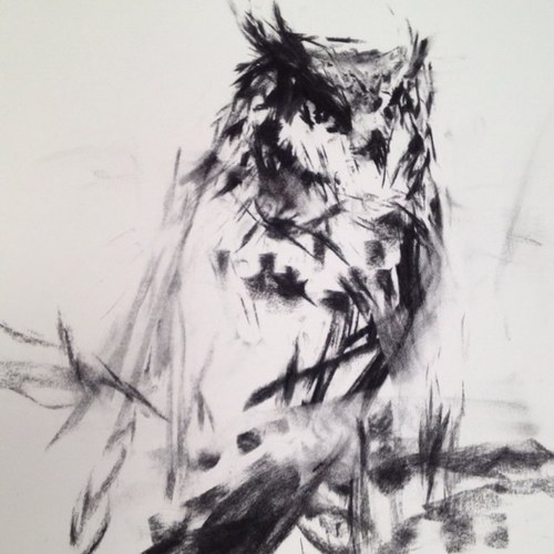 wines_lithos's profile picture. Passion is everything! High up on the Helderberg slopes creating elegant reds and summer Rosés. Dabbling in a bit of craft beer aswell.