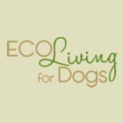 Earth Friendly Essentials for Dogs