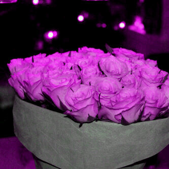 Kamaleladham_3t's profile picture. 