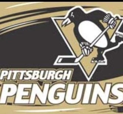 Pittsburgh Penguins Coverage