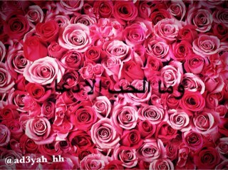 سبل الحب كثيرة وأبسطها دعاء، ولانني احببتكم جعلت هذا الحساب صدقة جارية لكم ,ولان الحب دعاء فان كل مالامس جبيني الارض دعيت الله ان يحفظكم لي ♡