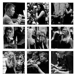Soul Vibe and the Vocalettes are a premier wedding and functions band, specialising in soul and Motown.