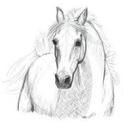 Carol Tobin - @Cortijo29130 - Twitter