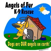 AngelsOfFur K9Rescue(@AngelsofFur) 's Twitter Profile Photo