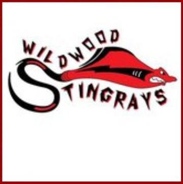 We are a summer swim team that swims as a part of the LAL. Please check out our website for more information on our team.