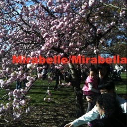 Mirabelle_Music's profile picture. MUSICIAN - composer, guitarist.  Texan.  Lives in Brooklyn.  Debut Album Mirabella, 2012.