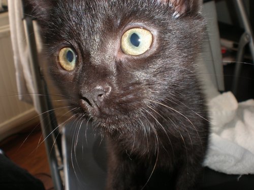 noemiedelafreck's profile picture. 