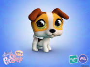hoi ,little pet shop is leuk hoor voor kleine en grote