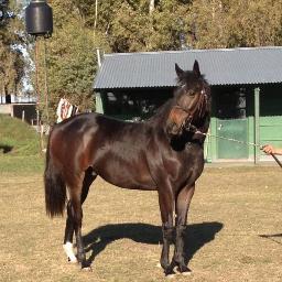 Humveeplus's profile picture. 