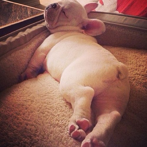 shamanyalkhaili's profile picture. Architect at day time and fashion blogger at night. Founder of Taally.
Follow us also on @Taally1 Email: taallyfashion@gmail.com