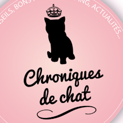 Stress du chat - Conseils - Yummypets