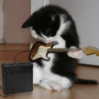 Saygın Şener (@sayginsener) Twitter profile photo