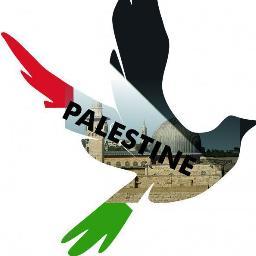 bahanaeem's profile picture. مهندس مدني