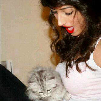 aboodmoharib's profile picture. 