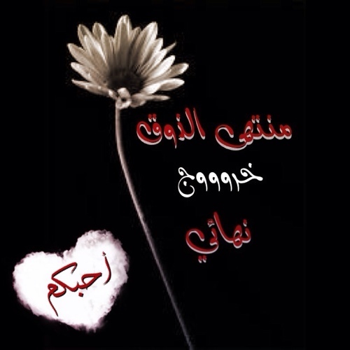 أعتذر للجميع وساامحوني اذا اخطئت بحق أحد منكم
واللي عنده شي يقوله قبل اترك البرنامج
ويمكن ارجع واكيد لاا ولكم حرية الغاء المتابعه
أحببببببكم جميعاً