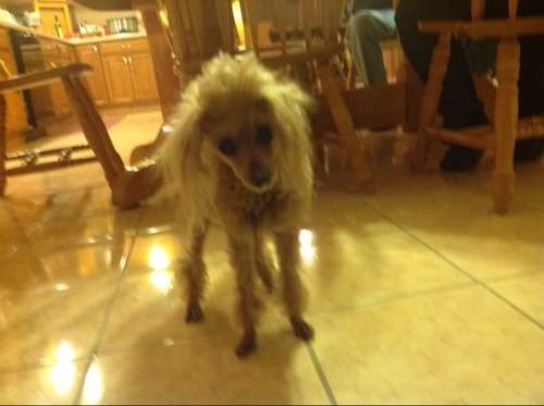 plzander's profile picture. 