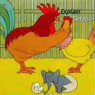 Themba19848898's profile picture. Jst me